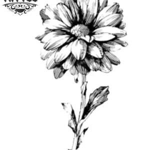 tatouage temporaire fleur gerbera design tendance floral sur peau tatouage temporaire fleur gerbera design tendance floral sur peau