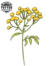 tatouage ephemere fleur immortelle longue tenue fleur