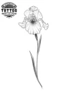 tatouage-fleur-ephemere-iris-design-temporaire-elegant tatouage-fleur-ephemere-iris-design-temporaire-elegant