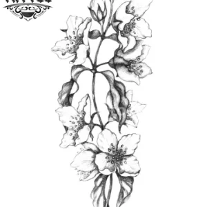 tatouage FLEUR éphémère jasmin floral tendance tatouage FLEUR éphémère jasmin floral tendance