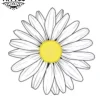 tatouage FLEUR ephemere marguerite resistant facile a appliquer