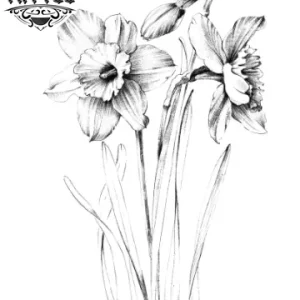 tatouage-ephemere-fleur-narcisse-tattoo-temporaire-tatouage-fleur tatouage-ephemere-fleur-narcisse-tattoo-temporaire-tatouage-fleur