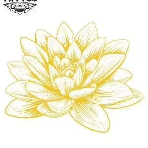 tatouage FLEUR éphémère nénuphar délicate touche naturelle tatouage FLEUR éphémère nénuphar délicate touche naturelle