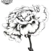 tatouage ephemere fleur oeillet style temporaire fleur tatouage ephemere fleur oeillet style temporaire fleur