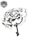 tatouage ephemere fleur oeillet style temporaire fleur tatouage ephemere fleur oeillet style temporaire fleur
