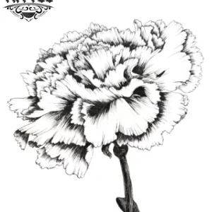 tatouage ephemere fleur oeillet style temporaire fleur tatouage ephemere fleur oeillet style temporaire fleur