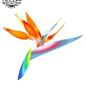 tatouage-fleur-oiseau-du-paradis-motif-temporaire-ephemere tatouage-fleur-oiseau-du-paradis-motif-temporaire-ephemere