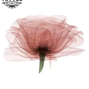 tatouage-fleur-ephemere-rayon-x-realiste-sophistique tatouage-fleur-ephemere-rayon-x-realiste-sophistique