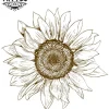 tatouage-éphémère-fleur-tournesol-design-floral-tatouage-temporaires