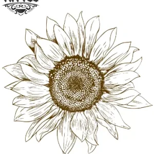 tatouage-éphémère-fleur-tournesol-design-floral-tatouage-temporaires tatouage-éphémère-fleur-tournesol-design-floral-tatouage-temporaires