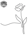 tatouage ephemere fleur trait fin longue duree tatouage fleur