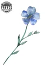 tatouage_ephemere_fleur_veronique_tatouage_fleur_temporary_tattoo tatouage_ephemere_fleur_veronique_tatouage_fleur_temporary_tattoo