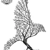 tatouage-ephemere-foret-enchanteur-corbeau-mystique tatouage-ephemere-foret-enchanteur-corbeau-mystique