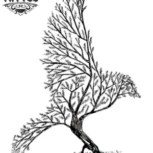 tatouage-ephemere-foret-enchanteur-corbeau-mystique tatouage-ephemere-foret-enchanteur-corbeau-mystique