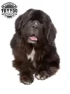 tatouage CHIEN éphémère gros chien réaliste décoration temporaire canine