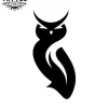 tatouage-ephemere-hiboux-symbole-mystique-image-produit