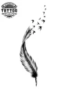 tatouage-ephemere-hirondelle-plume-tattoo-temporaire-design-oiseau tatouage-ephemere-hirondelle-plume-tattoo-temporaire-design-oiseau
