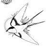 tatouage ephemere hirondelle traditionnel durable tatouage ephemere hirondelle traditionnel durable