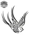 Tatouage Éphémère Hirondelle Tribal Design Unique Image Alt Tatouage Éphémère Hirondelle Tribal Design Unique Image Alt