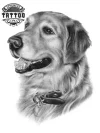 tatouage-ephemere-chien-hommage-temporaire-amoureux-tatouage-chien tatouage-ephemere-chien-hommage-temporaire-amoureux-tatouage-chien