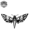 tatouage-ephemere-indien-papillon-design-poignet-lumineux tatouage-ephemere-indien-papillon-design-poignet-lumineux