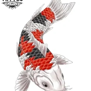 tatouage japonais ephemere carpe koi art traditionnel tatouage japonais ephemere carpe koi art traditionnel