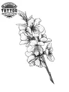 tatouage-japonais-ephemere-cerisier-noir-blanc-fleur tatouage-japonais-ephemere-cerisier-noir-blanc-fleur