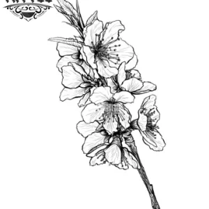 tatouage-japonais-ephemere-cerisier-noir-blanc-fleur tatouage-japonais-ephemere-cerisier-noir-blanc-fleur