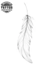 tatouage-ephemere-plume-blanche-elegant-durable tatouage-ephemere-plume-blanche-elegant-durable