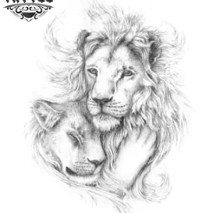tatouage-lion-ephemere-couple-majestueux-temporary-tattoo tatouage-lion-ephemere-couple-majestueux-temporary-tattoo