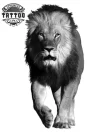 tatouage-ephemere-lion-entier-realiste-temporary-tattoo-image-alt tatouage-ephemere-lion-entier-realiste-temporary-tattoo-image-alt