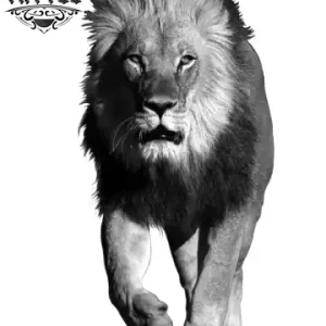 tatouage-ephemere-lion-entier-realiste-temporary-tattoo-image-alt tatouage-ephemere-lion-entier-realiste-temporary-tattoo-image-alt