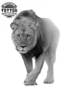 tatouage-lion-qui-marche-realiste-ephemere-bras-dos tatouage-lion-qui-marche-realiste-ephemere-bras-dos