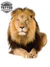 tatouage-ephemere-lion-realiste-grand-format-waterproof tatouage-ephemere-lion-realiste-grand-format-waterproof