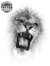 tatouage-ephemere-lion-rugissant-temporaire-image tatouage-ephemere-lion-rugissant-temporaire-image