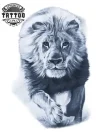 tatouage-ephemere-lion-savane-realiste-decalcomanie-temporaires tatouage-ephemere-lion-savane-realiste-decalcomanie-temporaires