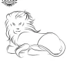 tatouage-ephemere-lion-trait-fin-haute-qualite tatouage-ephemere-lion-trait-fin-haute-qualite