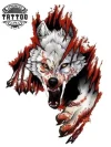 tatouage-éphémère-loup-agressif-réaliste-waterproof-adulte tatouage-éphémère-loup-agressif-réaliste-waterproof-adulte