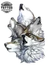 tatouage-ephemere-loup-meute-sauvage-durable-realiste-image-alt