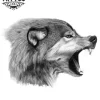 tatouage-ephemere-loup-grogneur-realiste-image-alt tatouage-ephemere-loup-grogneur-realiste-image-alt