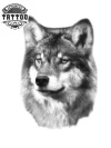 tatouage-ephemere-loup-realiste-art-corporel-temporary-wolf-tattoo-image-alt tatouage-ephemere-loup-realiste-art-corporel-temporary-wolf-tattoo-image-alt
