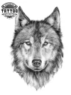 tatouage ephemere loup solitaire art corporel temporaire inspiré de la nature tatouage ephemere loup solitaire art corporel temporaire inspiré de la nature