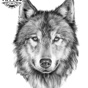 tatouage ephemere loup solitaire art corporel temporaire inspiré de la nature tatouage ephemere loup solitaire art corporel temporaire inspiré de la nature