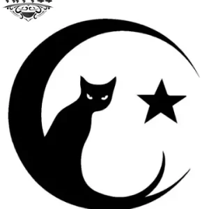 tatouage-ephemere-lune-chat-design-original tatouage-ephemere-lune-chat-design-original