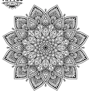 tatouage mandala ephemere dentelle decoratif tatouage mandala ephemere dentelle decoratif