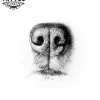 tatouage-ephemere-museau-chien-art-corporel-image