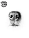 tatouage-ephemere-museau-chien-art-corporel-image