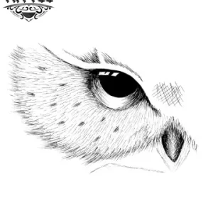 tatouage-ephemere-hiboux-oeil-mystique tatouage-ephemere-hiboux-oeil-mystique