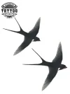 tatouage ephemere oiseau aquarelle design artistique V tatouage ephemere oiseau aquarelle design artistique V