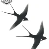 tatouage-oiseau-amitie-design-temporaire tatouage-oiseau-amitie-design-temporaire